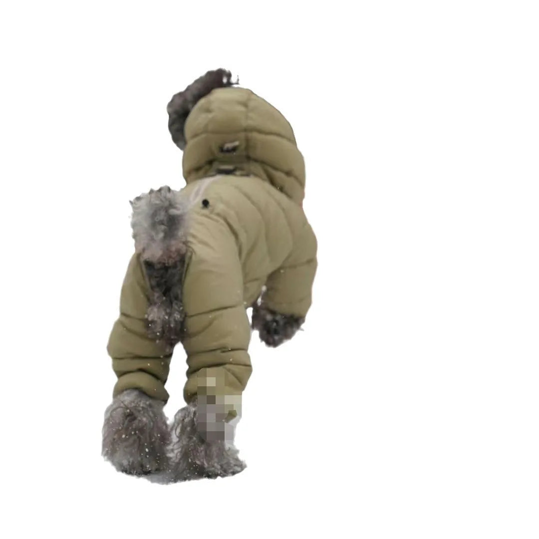 Korean Teddy Poodle Small Dog Jacket