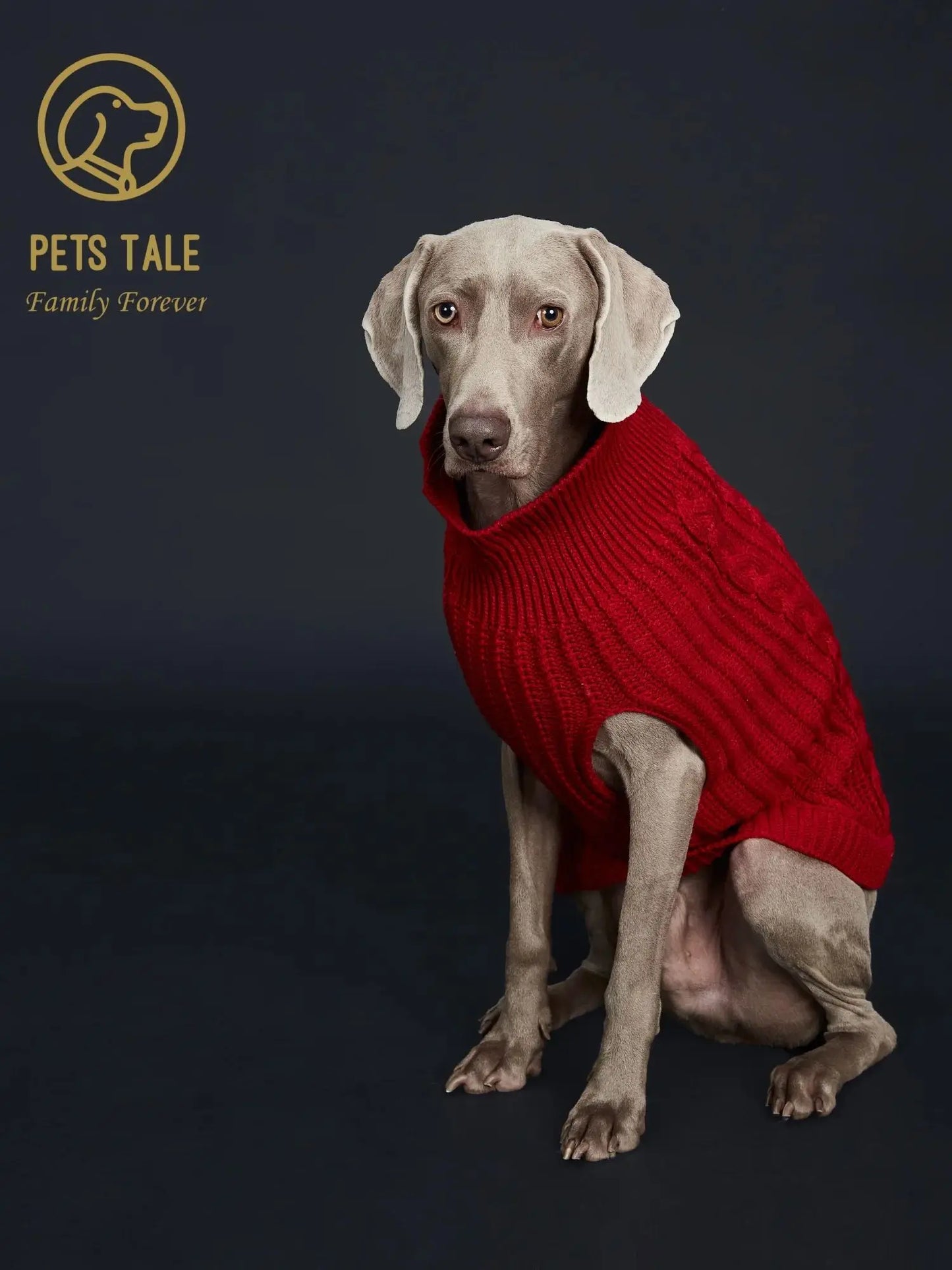 Cozy Knitted Pet Sweater