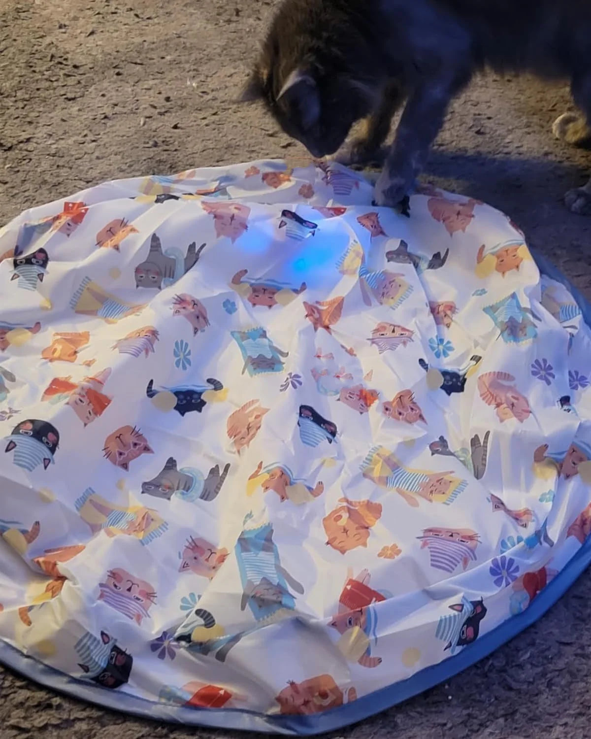 Interactive Cat Chase Toy
