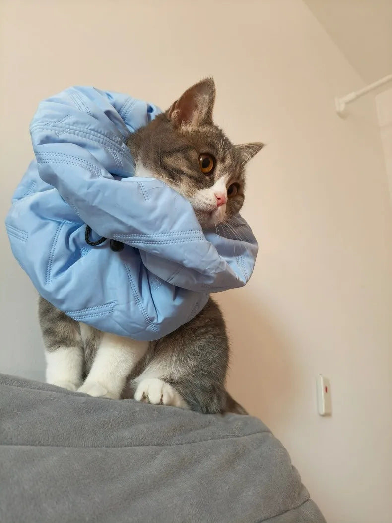 Cat Anti Lick Scarf Warm Elizabethan Collar