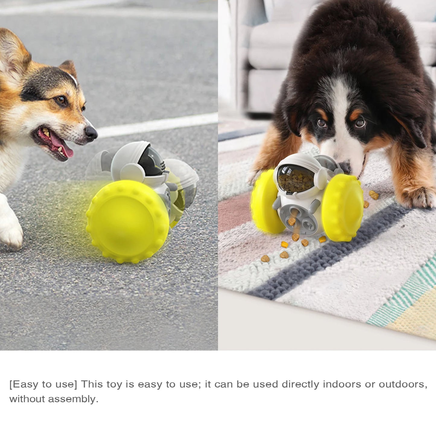 Pet Balance Car Slow Feeder Toy