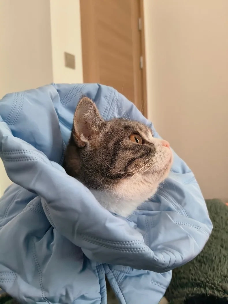 Cat Anti Lick Scarf Warm Elizabethan Collar