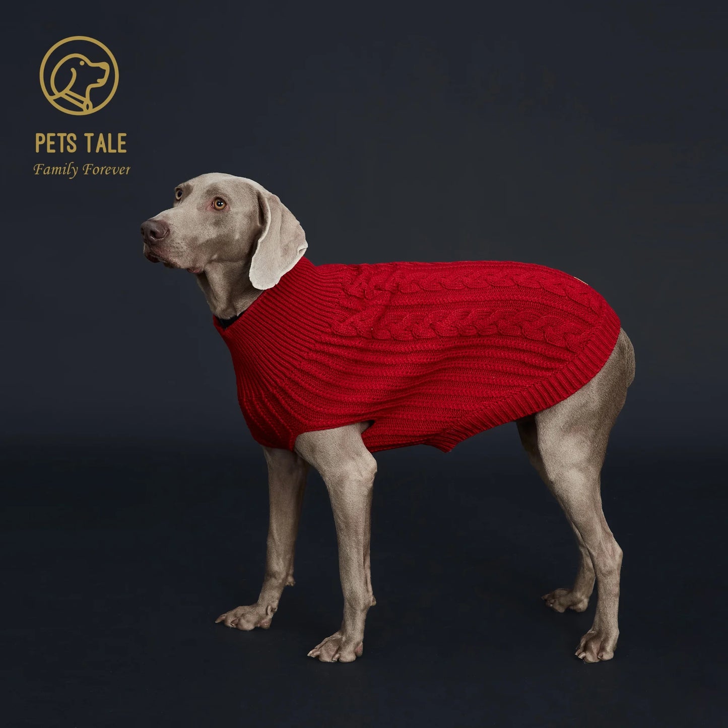 Cozy Knitted Pet Sweater