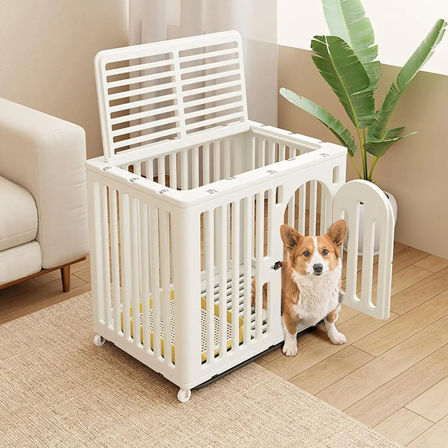 Cat Wheel and Door Lock Cage