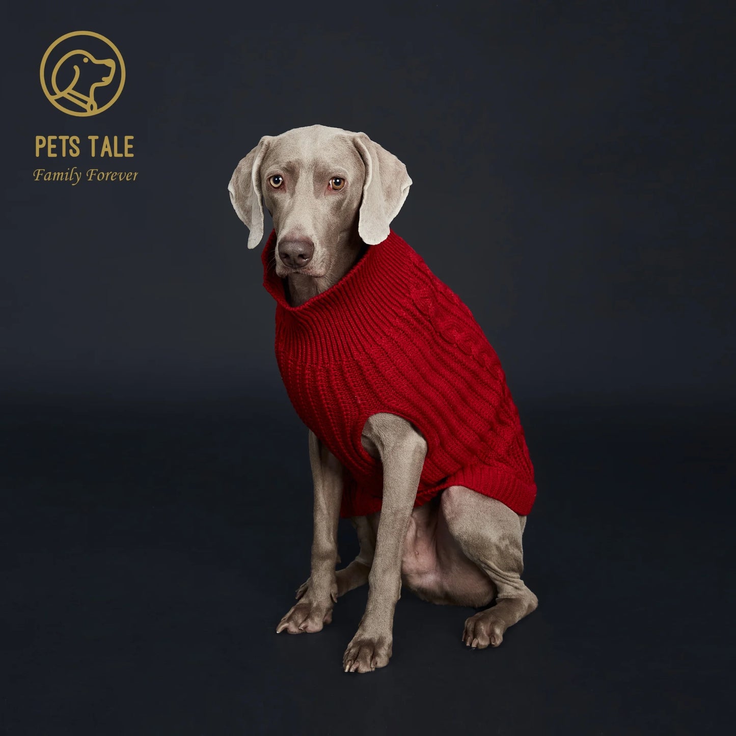 Cozy Knitted Pet Sweater